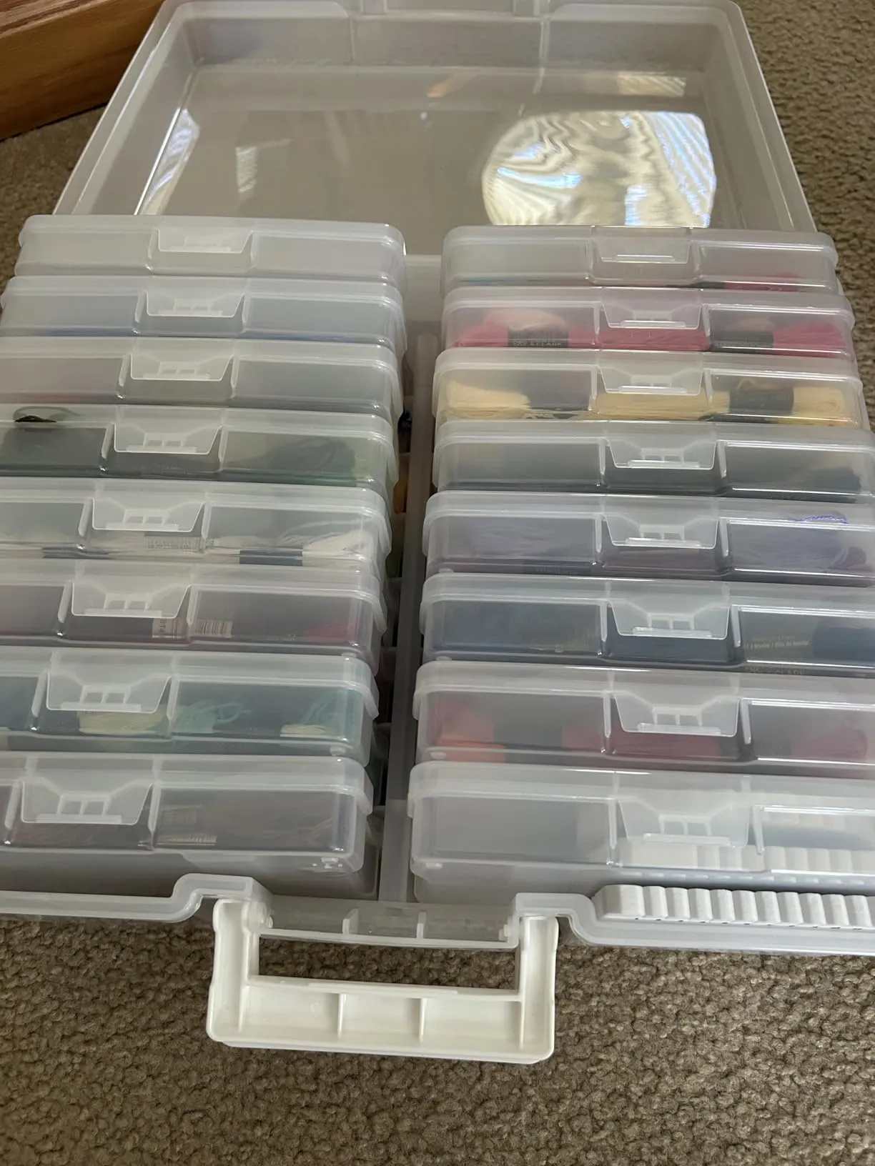 Great little organizer case