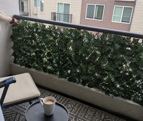 Ivy privacy fence on an apartment balcony