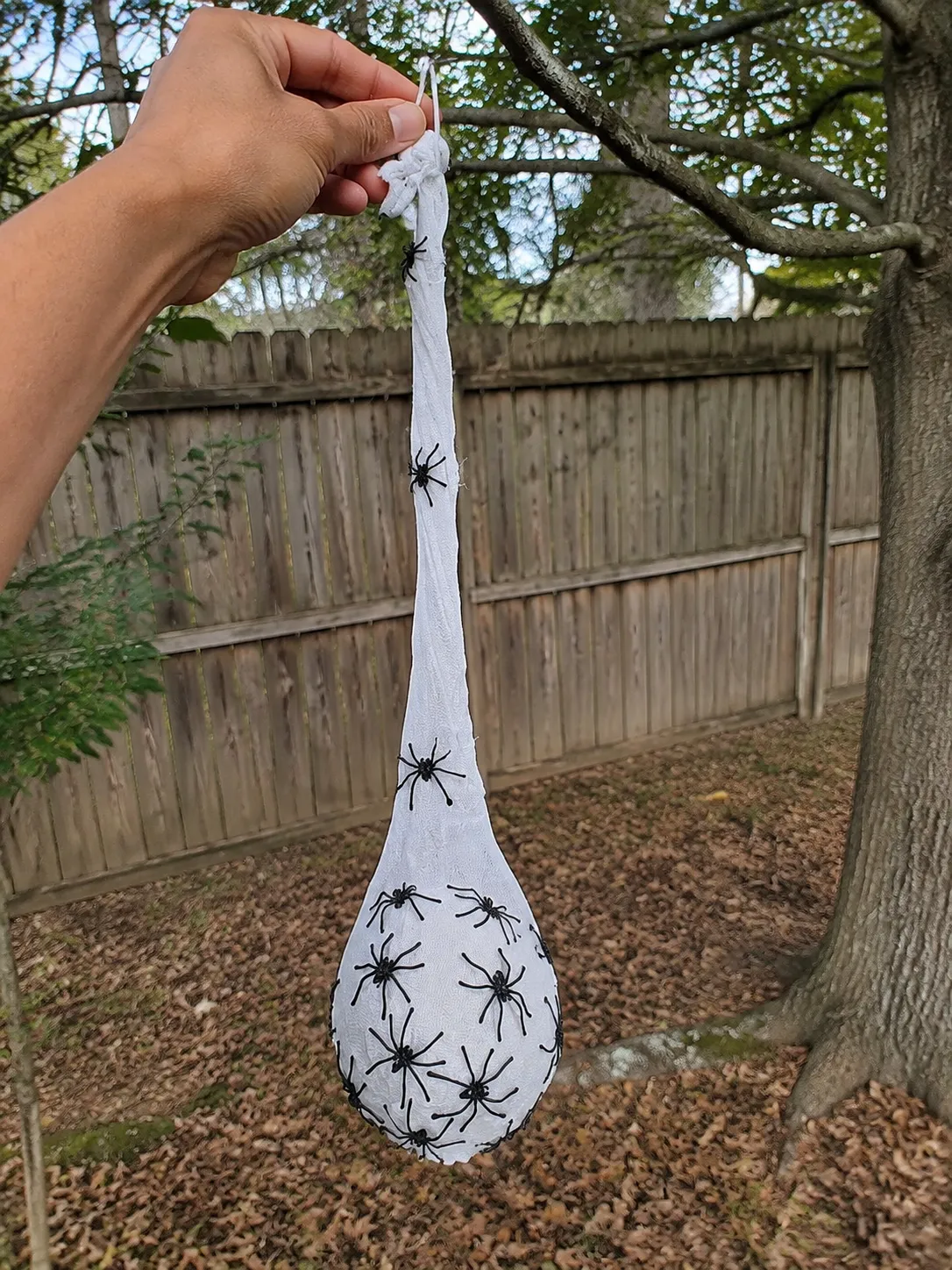 Unlit spider egg sac being positioned on a backyard tree