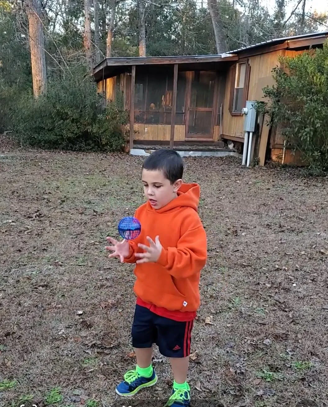 Family Fun