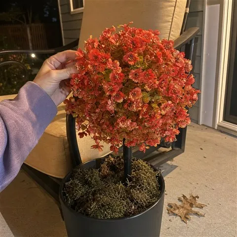 Customer adjusting an artificial flower topiary in a black planter