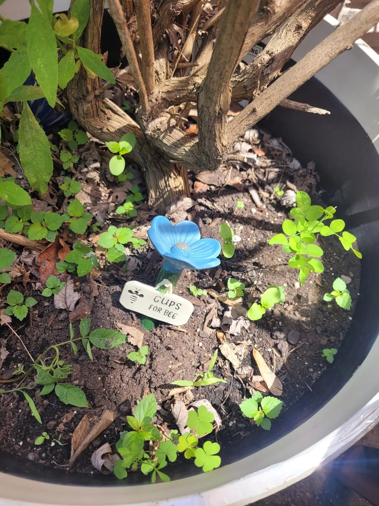 Cute little garden decor