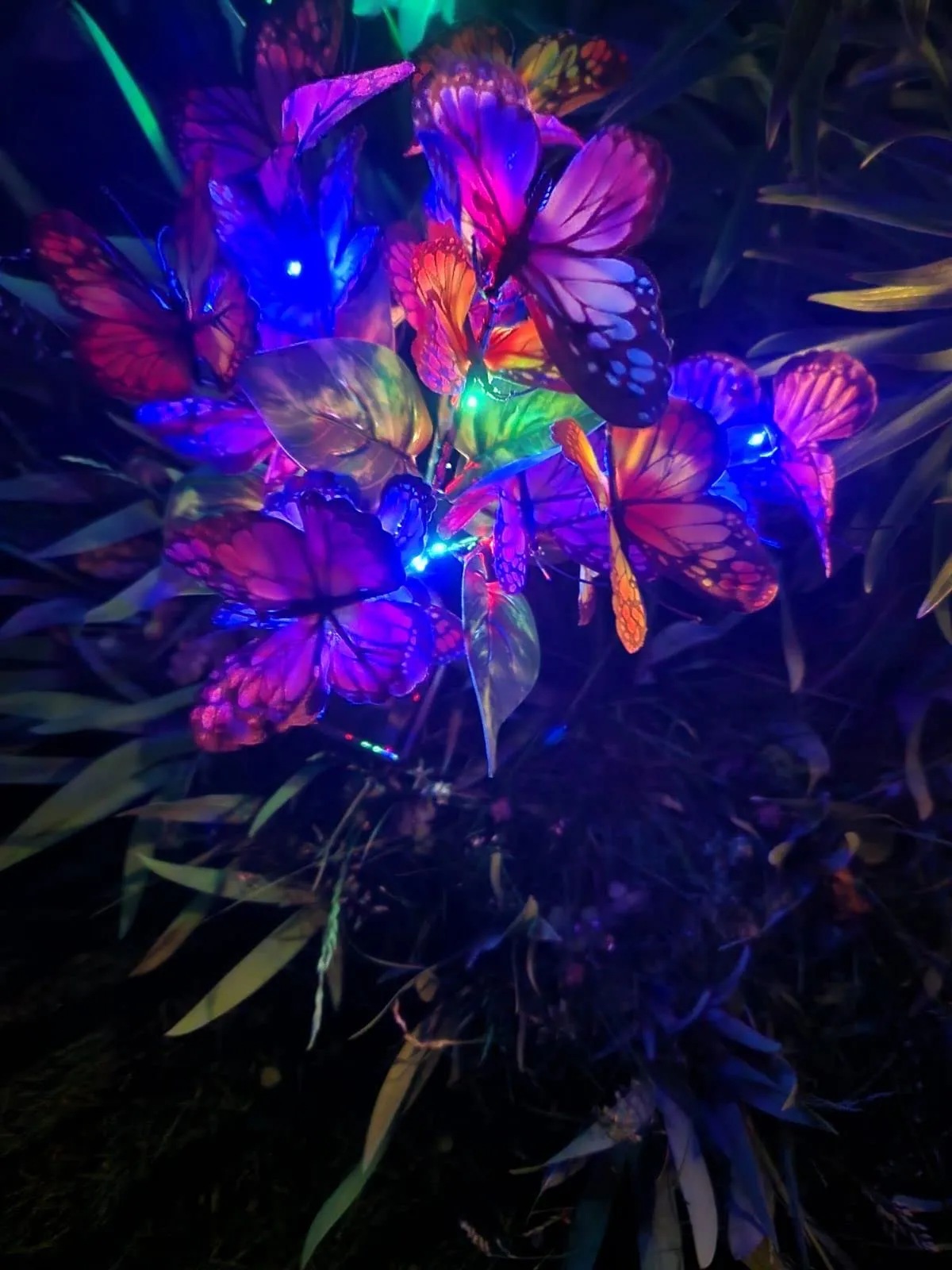 Very nice butterfly solar lights