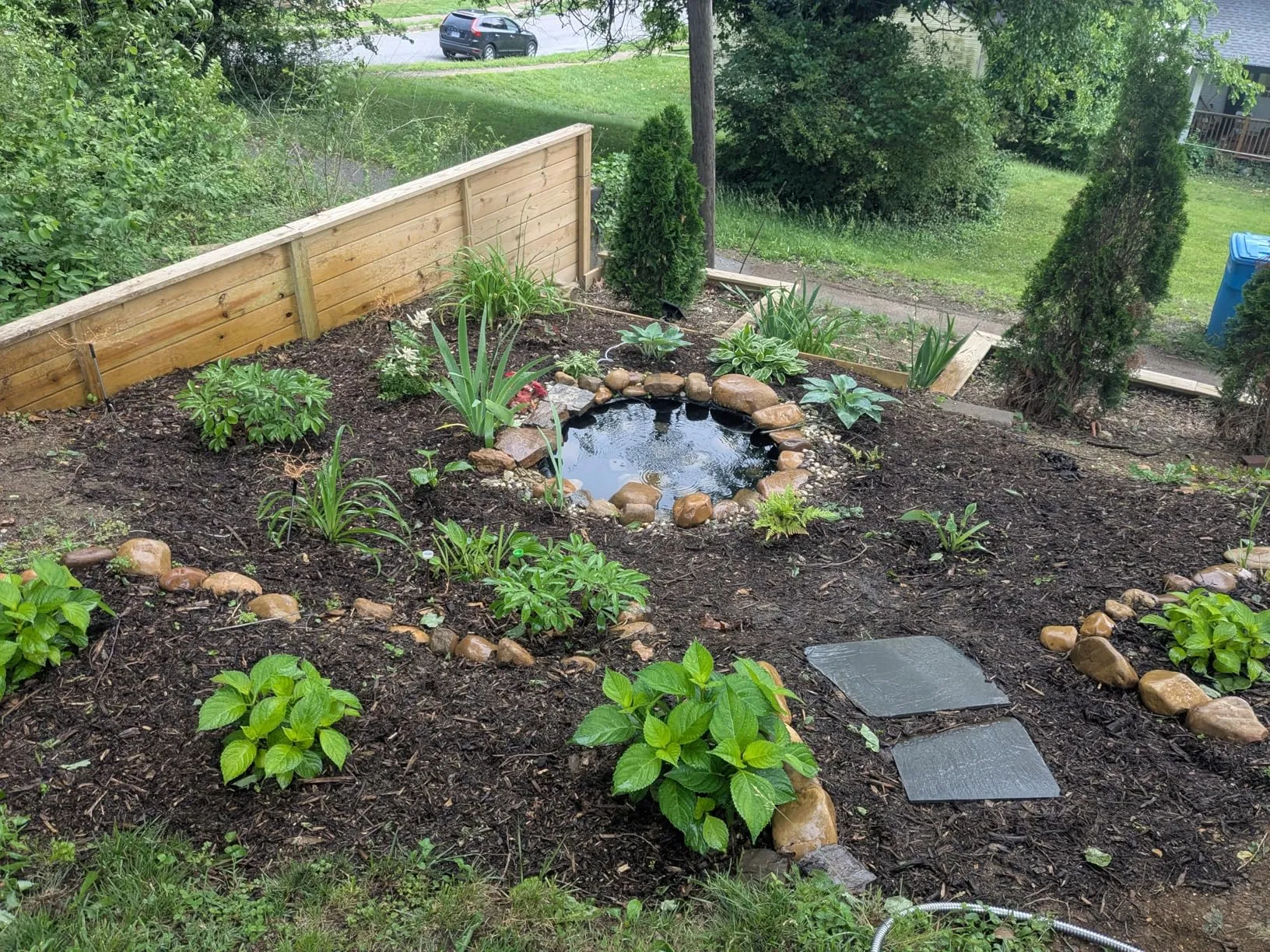 Great for small pond health