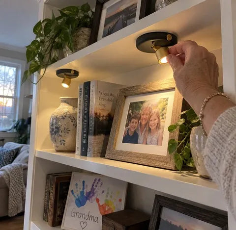 Two compact spotlights illuminating different shelves in a built-in bookcase