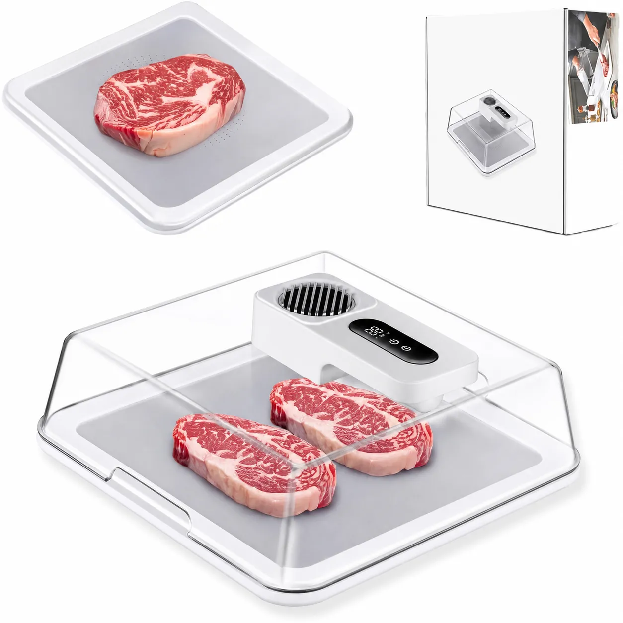 Top control area and transparent lid of the defrosting box