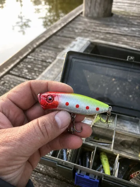 Angler holding the popper beside a tackle box on a dock