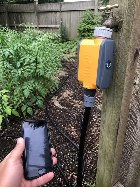 Checking a tomato garden watering line from a phone