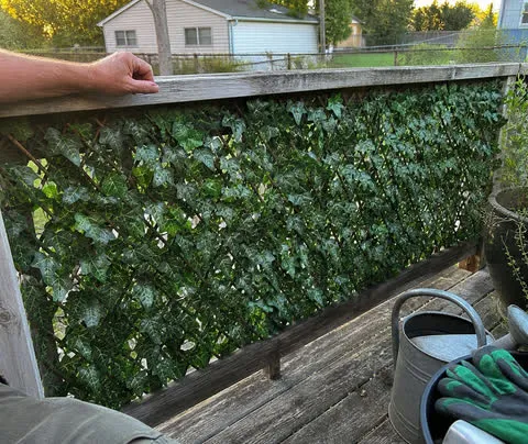 Ivy privacy fence on a backyard deck railing