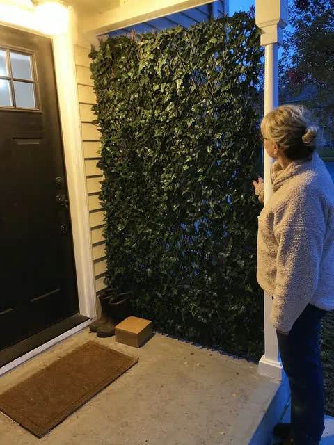 Faux ivy privacy panel beside a porch doorway
