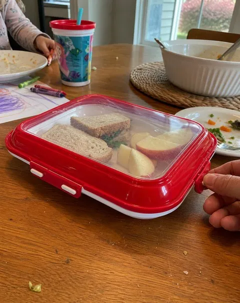 Red tray holding family lunch leftovers