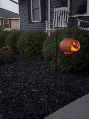 Pumpkin solar lantern being hung and glowing at dusk