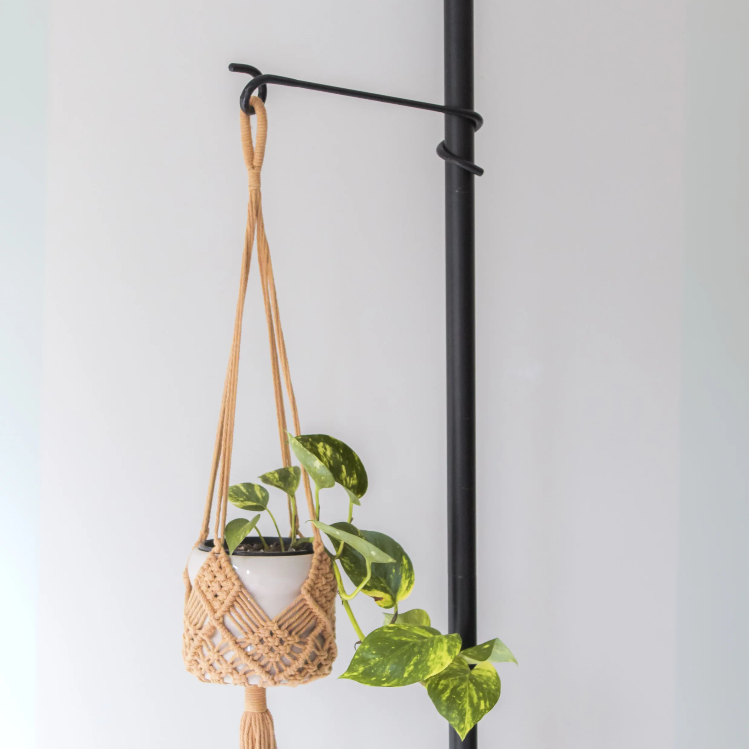 Spiral plant stand hook color and product detail 2