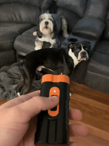 QG-07 dual-head ultrasonic dog deterrent product demonstration