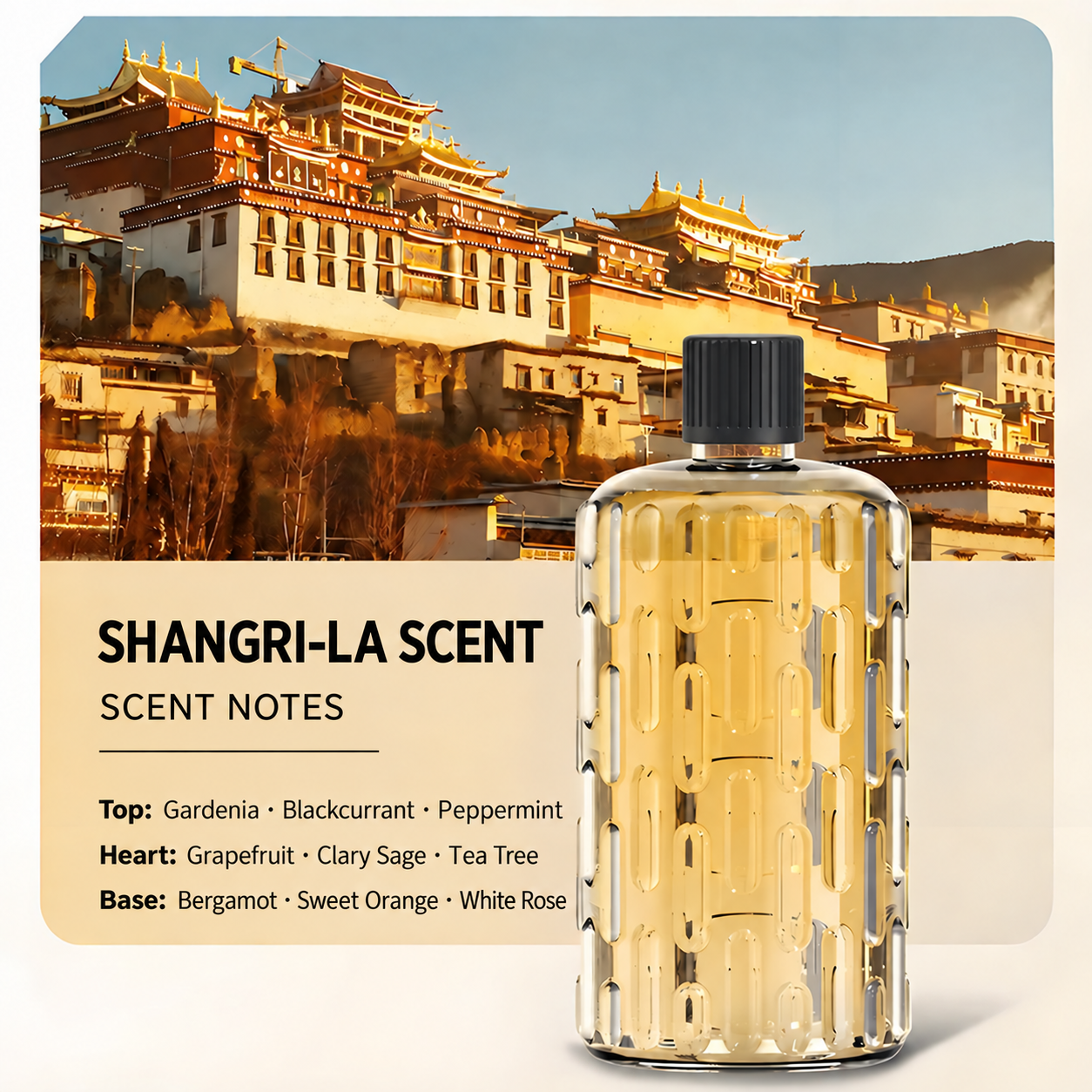 Shangri-La scent refill and scent notes