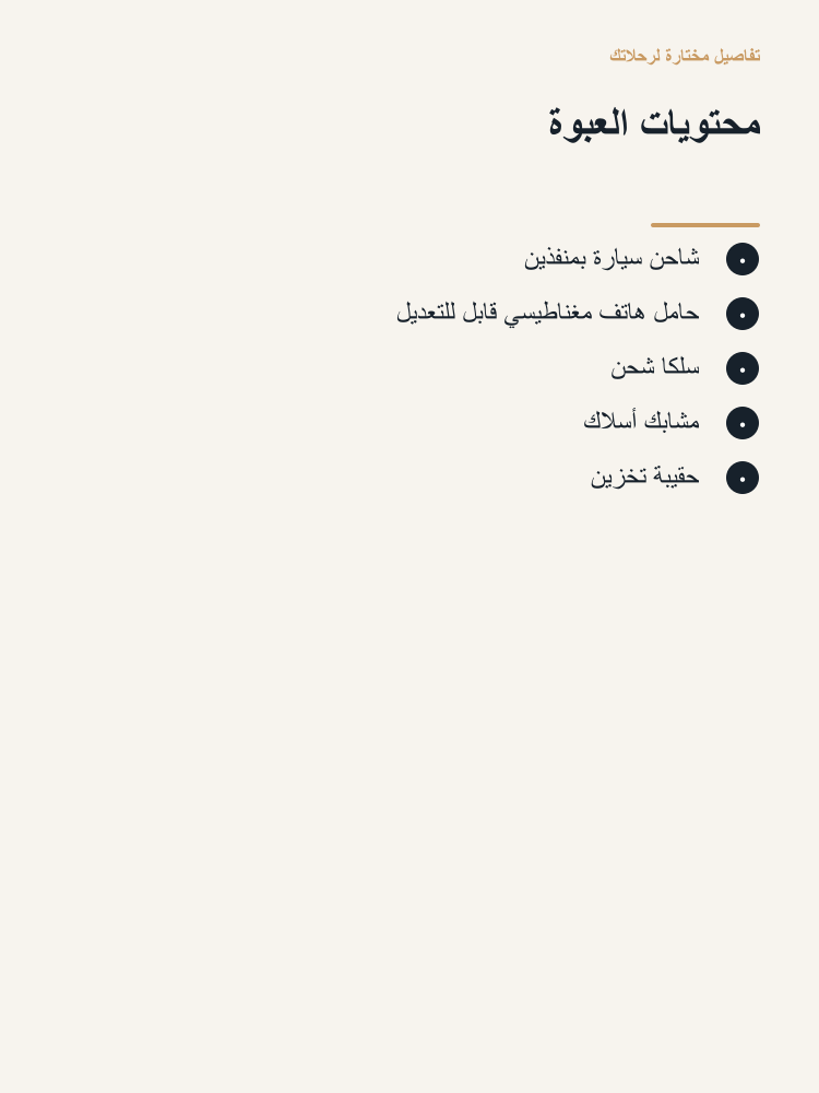 Drive-Ready Charging and Phone Mount Kit - Arabic detail 3