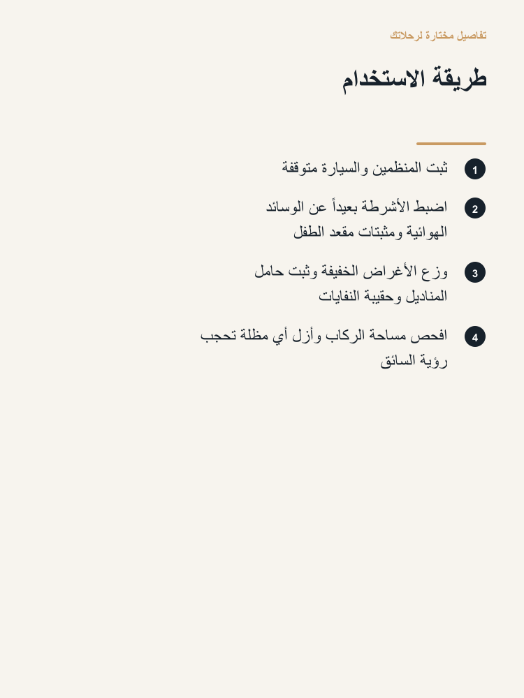 Family Backseat Organization Kit - Arabic detail 5
