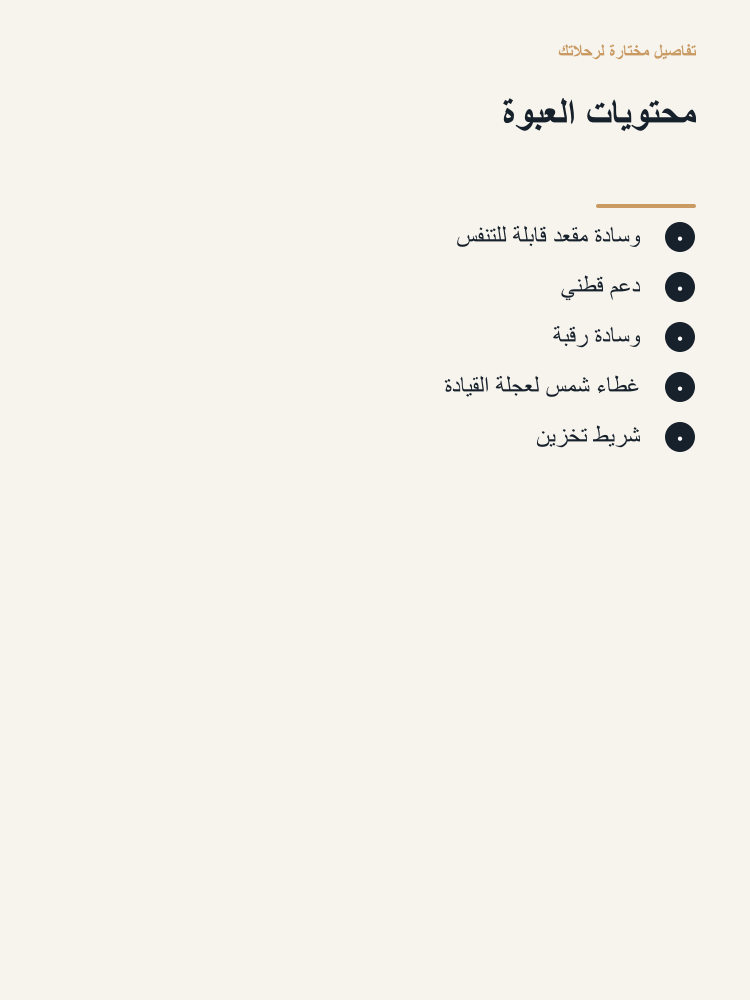 Driver Seat Comfort Set - Arabic detail 3