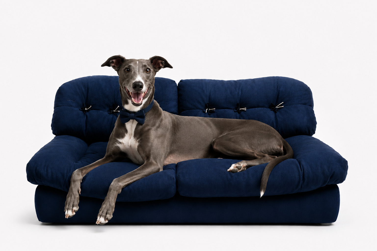 Velvet Lounge Sofa product image 2