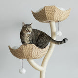 Arbor Cat Tree