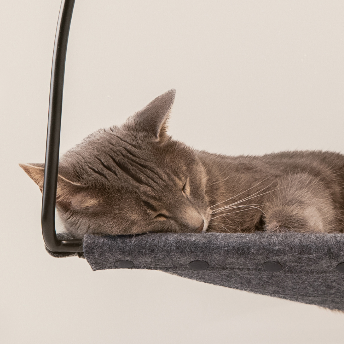 Sill Window Hammock