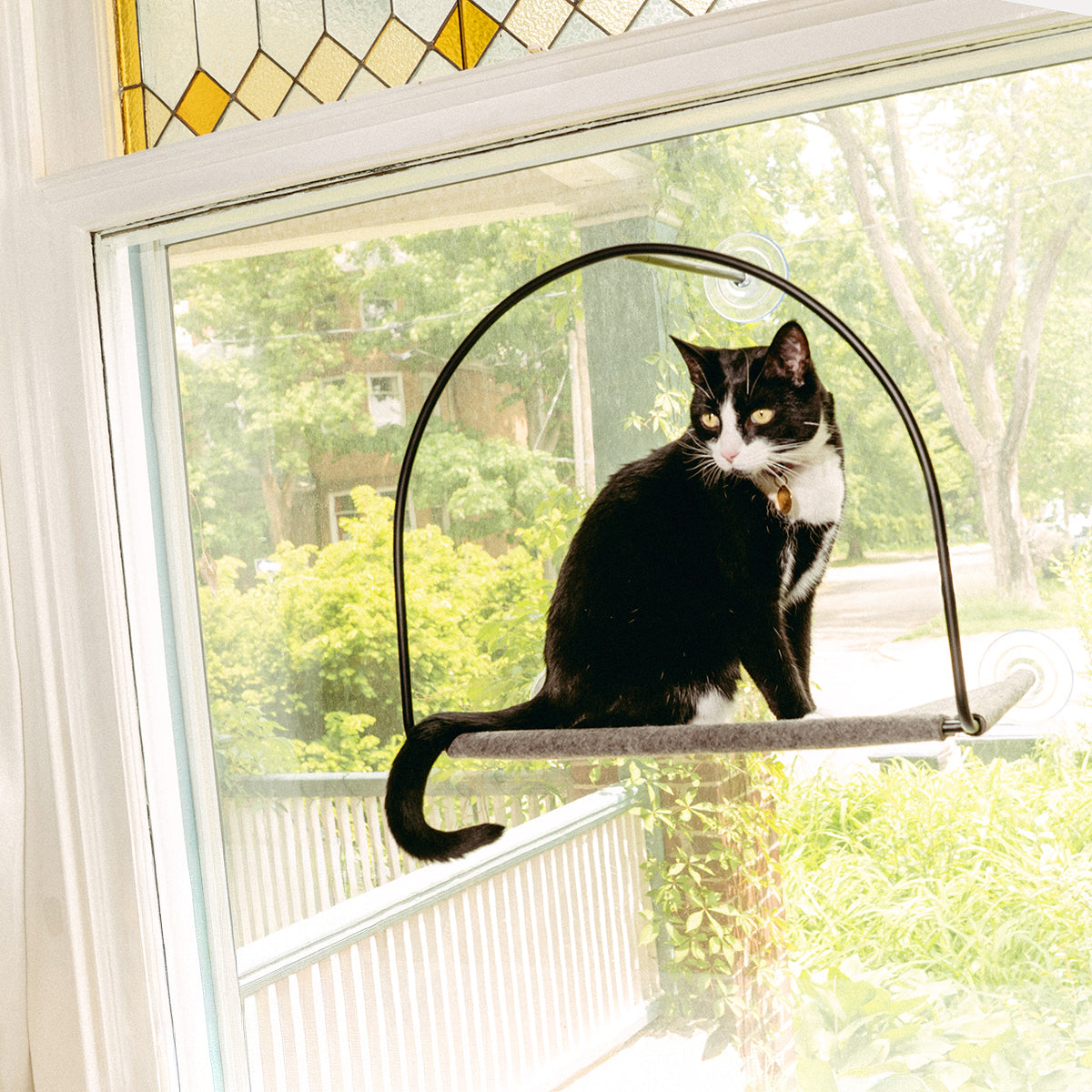 Sill Window Hammock