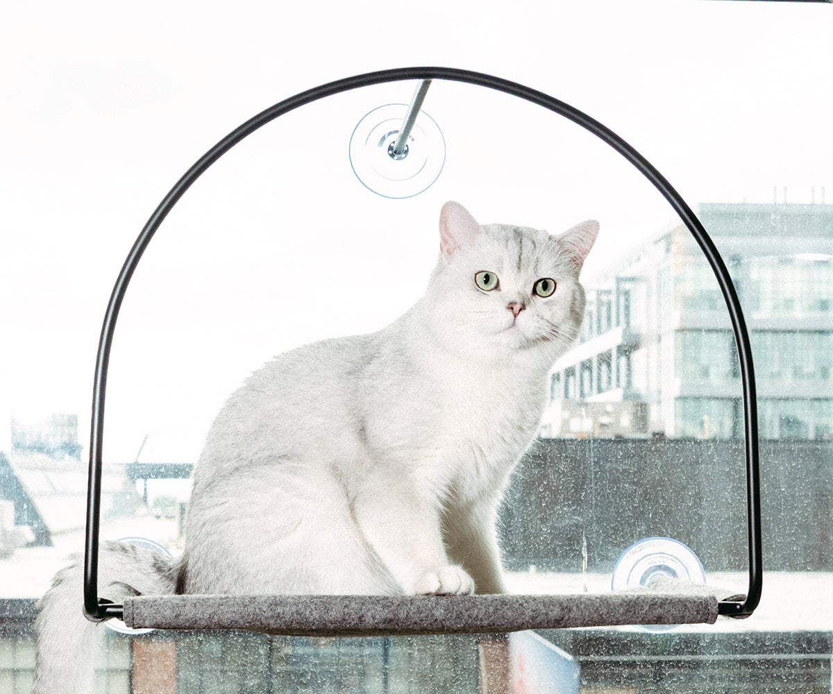 Sill Window Hammock