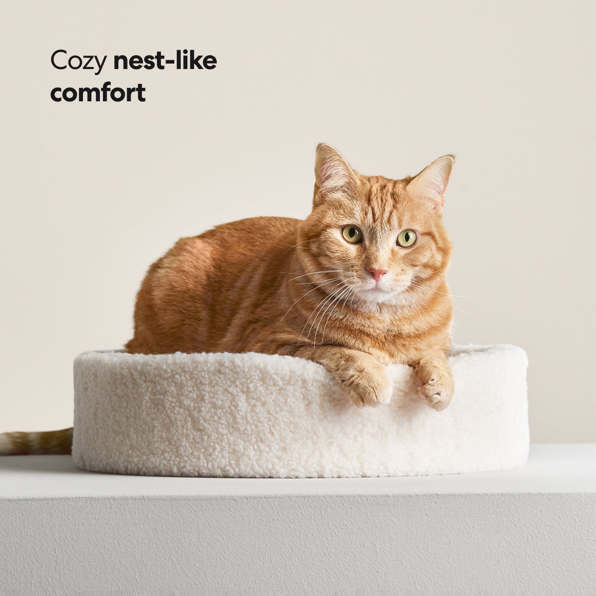 Nest Cat Bed