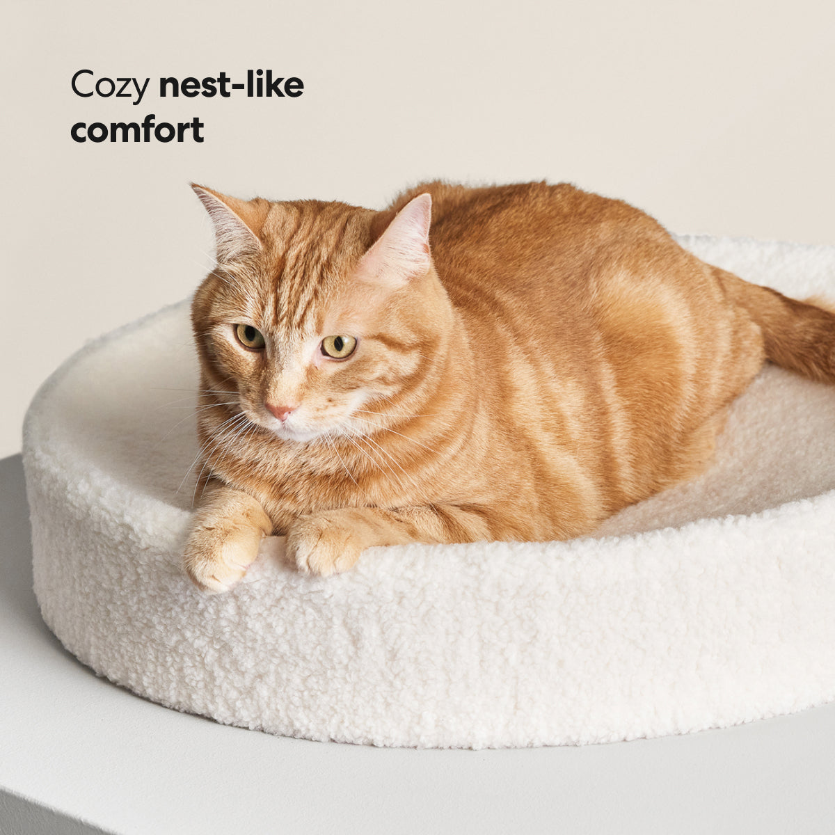 Nest Cat Bed