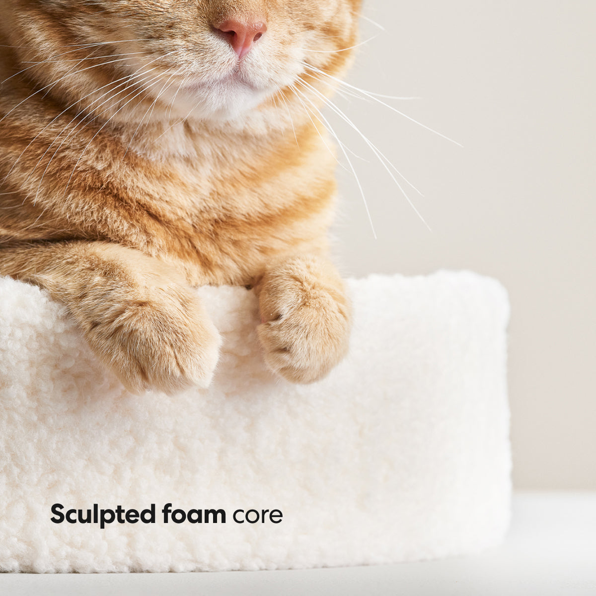 Nest Cat Bed