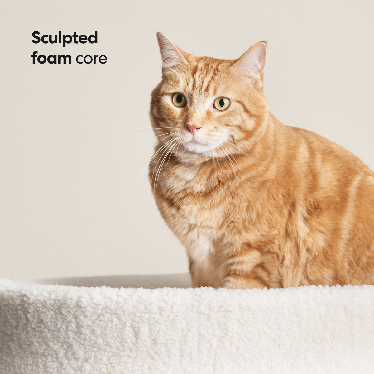 Nest Cat Bed