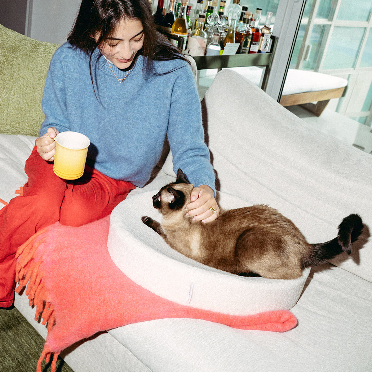 Nest Cat Bed