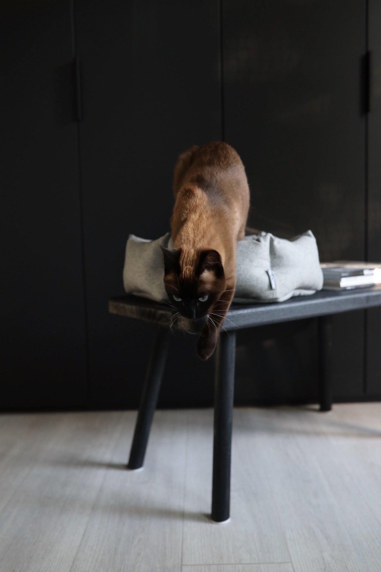 Calma Hexagon Cat Bed