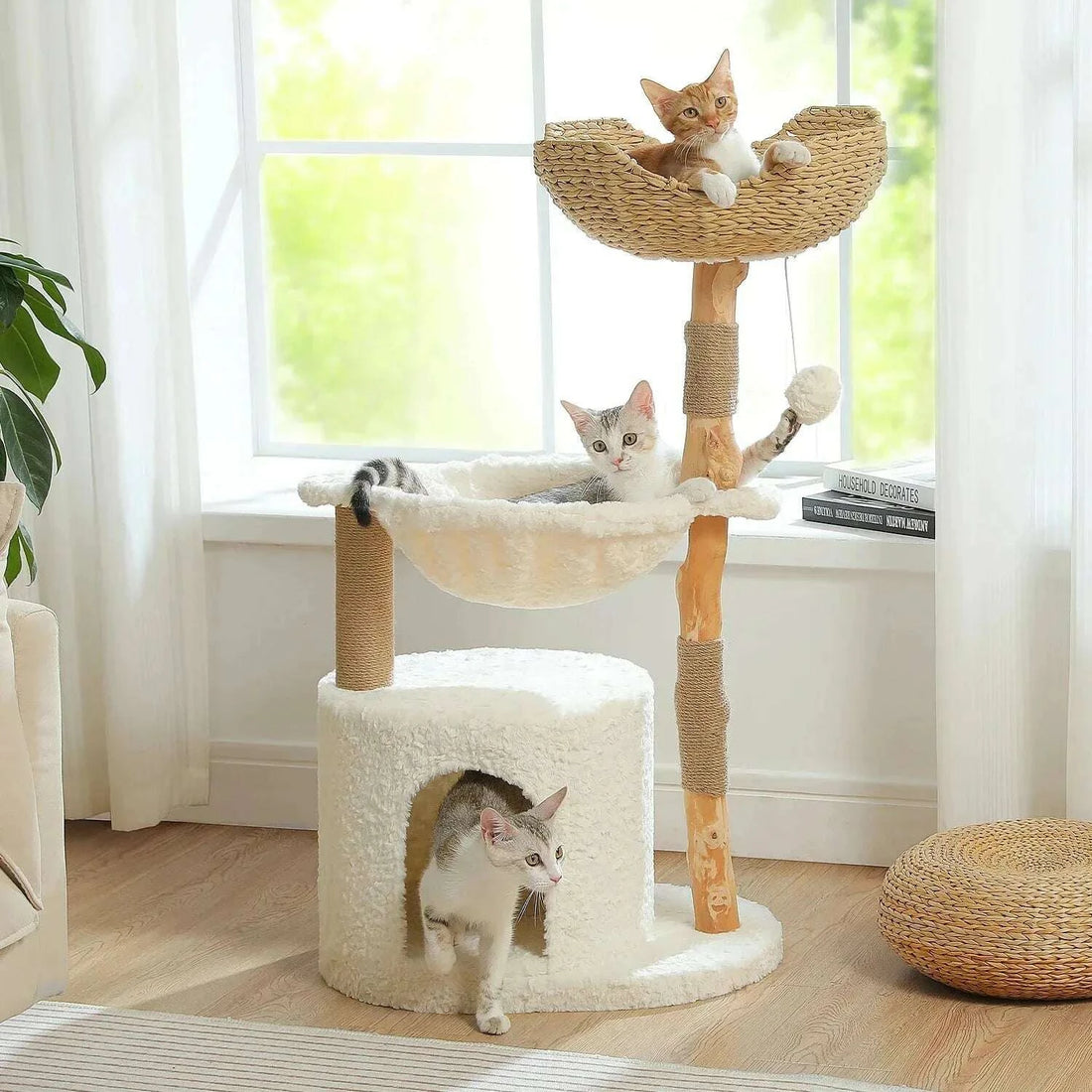 Arbor Wood Cat Tree product image 3