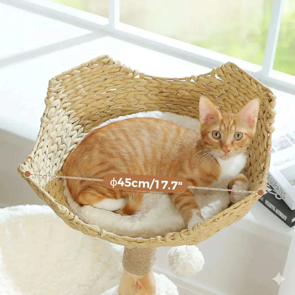 Arbor Wood Cat Tree product image 4