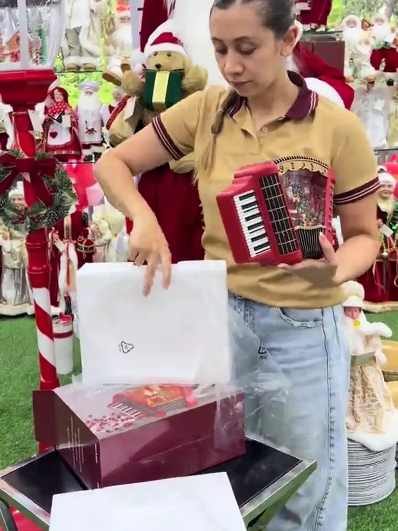 Christmas accordion music box lighting up with a swirling snow scene