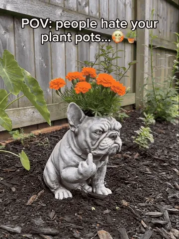 Cheeky animal planters displayed with greenery in outdoor and home settings