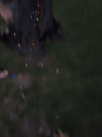 Remote-controlled multicolor solar string lights in use