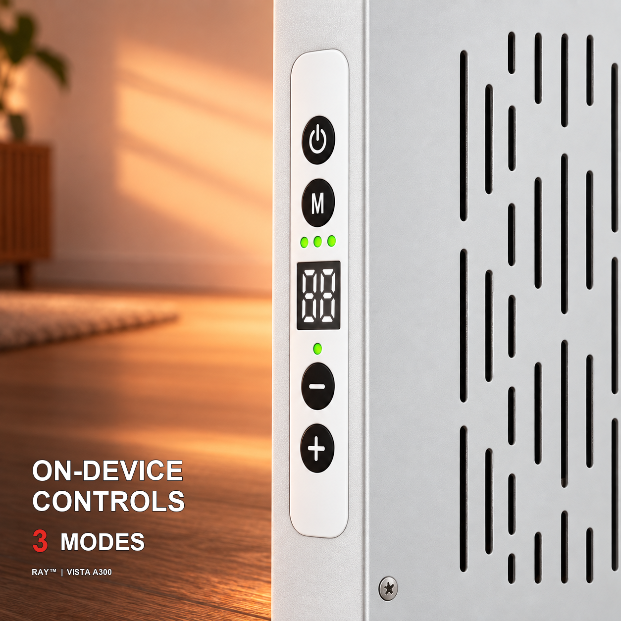 Ray Vista A300 on-device controls