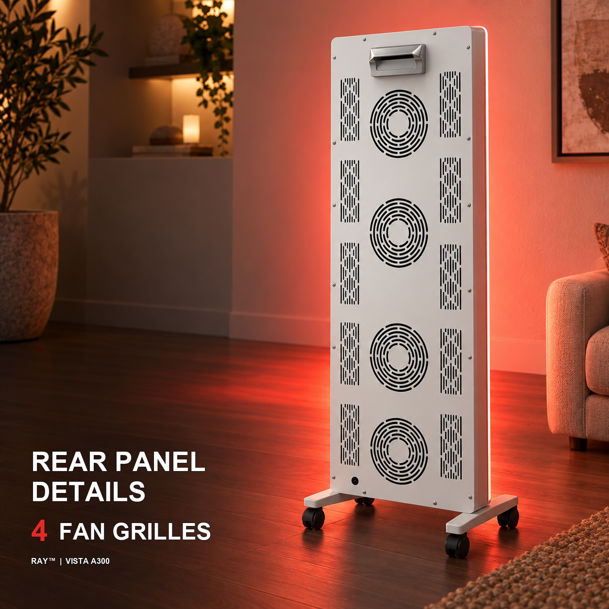 Ray Vista A300 rear panel details