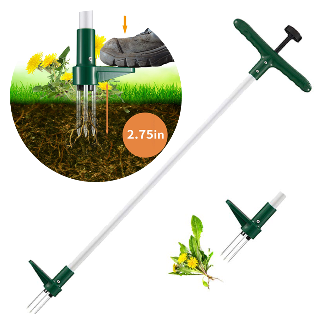 Garden Weed Remover