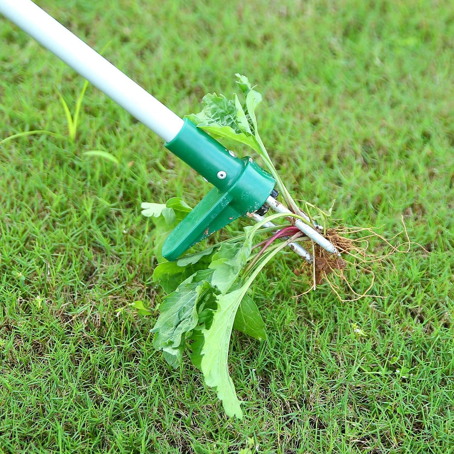 Garden Weed Remover