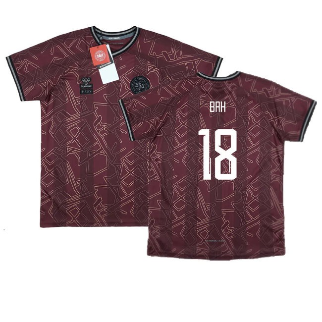 Women's Denmark 2024/25 Special Jersey