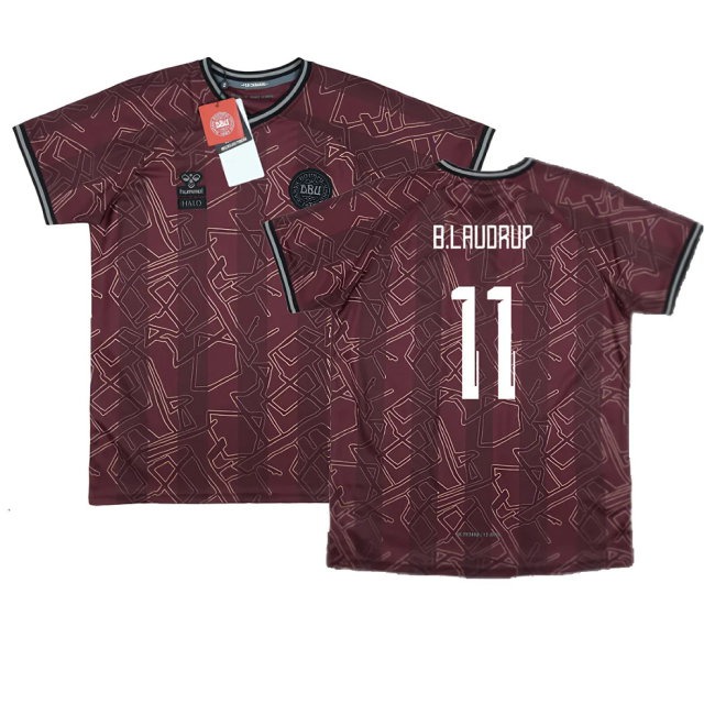 Men's Denmark 2024/25 Special Jersey