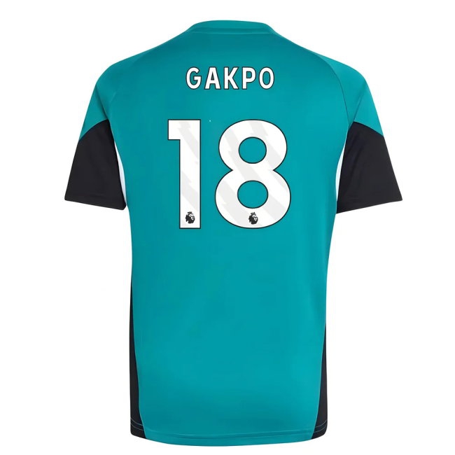 Women's Trainings Liverpool 2025/26 Green Training Jersey