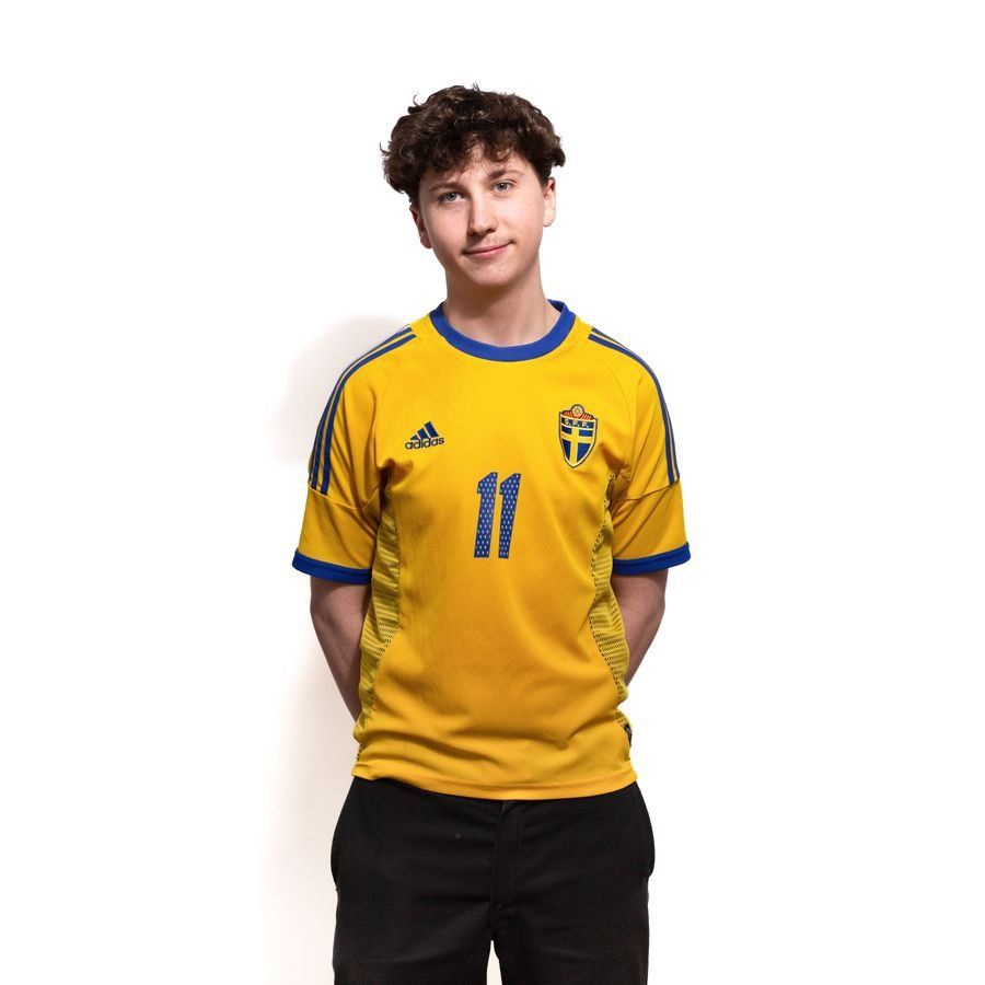 Men's Sweden Home Jersey