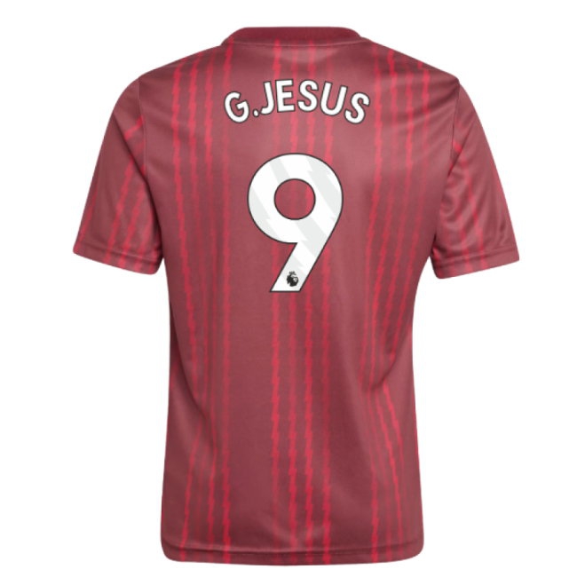 Women's Arsenal 2025/26 Burgundy Jersey