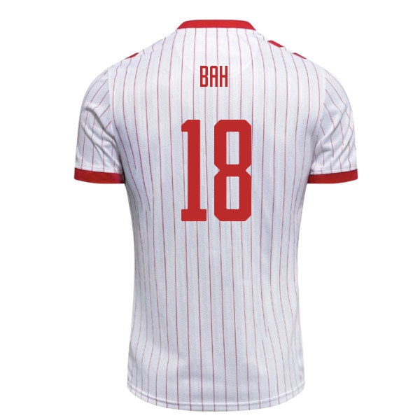 Kids' Denmark 2026/27 Away Jersey