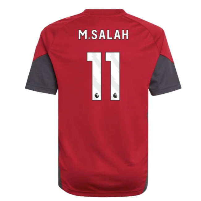 Women's Trainings Liverpool 2025/26 Red Training Jersey