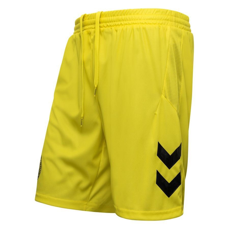 Kids' Denmark 2023/24 Shorts
